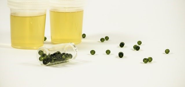 Synthetic Urine Walmart Riverview Canton GA